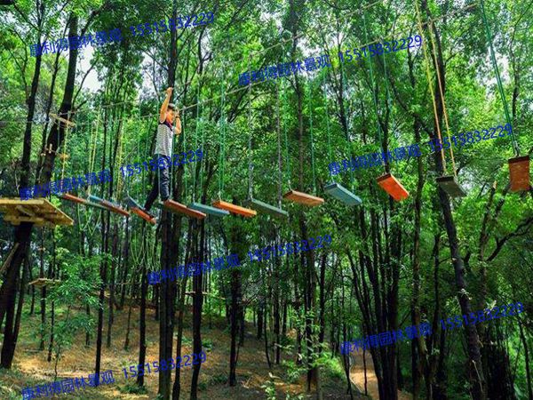 丛林穿越厂家电话