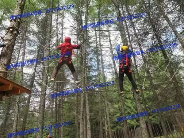 景区丛林穿越设计